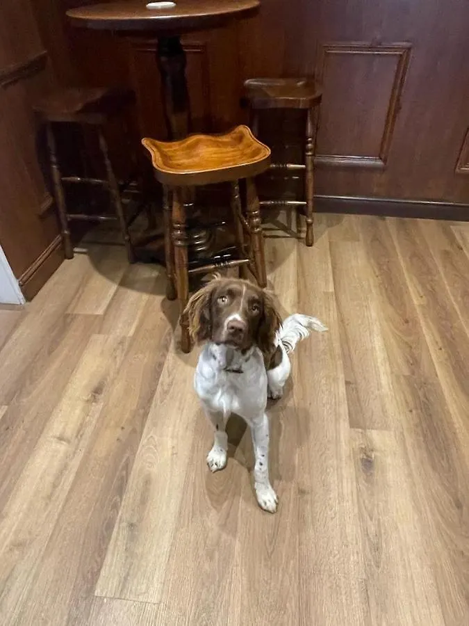 The Black Horse Inn Settle 0*,